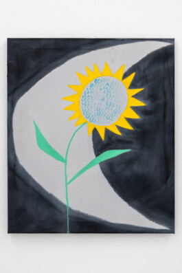 Olga Krykun, Superpositions, painting, malba, praha, prague, česká republika, contemporary, art, czech, czechia, ukrajina, ukraine