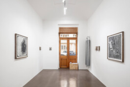 Julie Danhleova, Unearth Me, Clauda, Gallery, Drawing, Prague, Czech