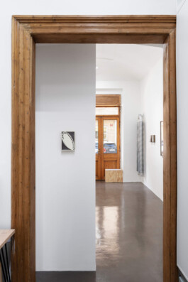 Julie Danhleova, Unearth Me, Clauda, Gallery, Drawing, Prague, Czech