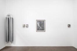 Julie Danhleova, Unearth Me, Clauda, Gallery, Drawing, Prague, Czech