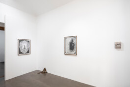 Julie Danhleova, Unearth Me, Clauda, Gallery, Drawing, Prague, Czech