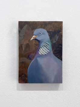 Vasil Artamonov, COMMON WOOD PIGEON, 10,5 X 14,8 CM, OIL ON PLYWOOD, 2026 