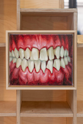 Superpositions, Matyáš Maláč, Matyas Malac, současné umění, contemporary, art, painting, malba, olej, oil, česká republika, cezch, prague, praha, umění