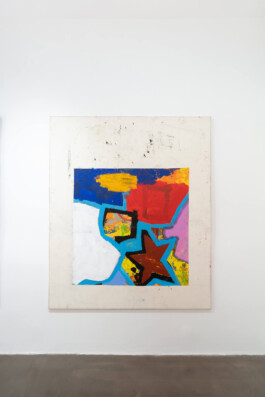 David Krňanský, Cell, Galerie, Clauda, Praha, foto Michal Ureš