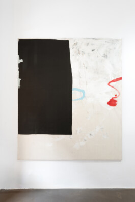 David Krňanský, Cell, Galerie, Clauda, Praha, foto Michal Ureš