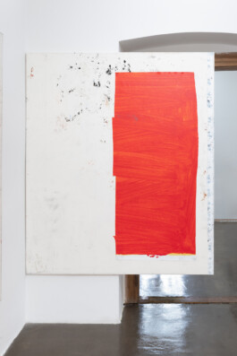 David Krňanský, Cell, Galerie, Clauda, Praha, foto Michal Ureš