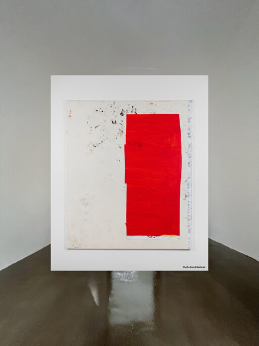 David KrÅˆanskÃ½, Cell, solo, show, samostatnÃ¡ vÃ½stava, Superpositions, Gallery, David BerÃ¡nek