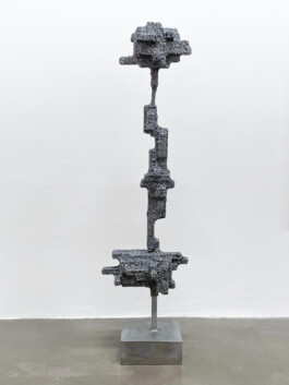 Tomas_Roubal, Untitled, Clauda