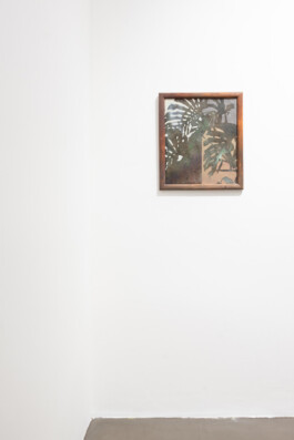 Vasil Artamonov, Monstera, oil on canvas, 2025, solo, show, Clauda, Prague, Art, Contemporary, photo by Lukas Havlena