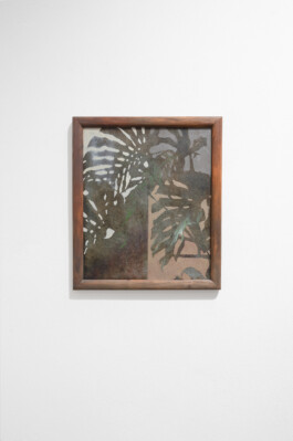 Vasil Artamonov, Monstera, oil on canvas, 2025, solo, show, Clauda, Prague, Art, Contemporary, photo by Lukas Havlena