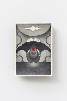 Julie Danhleova, Unearth Me, Clauda, Gallery, Drawing, Prague, Czech