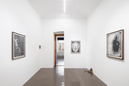 Julie Danhleova, Unearth Me, Clauda, Gallery, Drawing, Prague, Czech