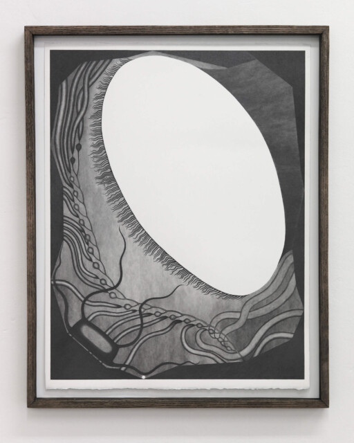 Julie Danhelova, LASHES, 51 X 66 CM, GRAPHITE ON PAPER, 2023, PHOTO AUTHOR'S ARCHIVE