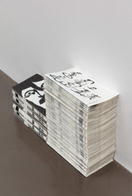 Martin Groch They Are Ugly Because They Are Angry, clauda, Prague