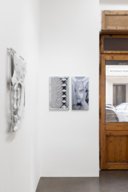 Paula Gogola, soft_sighs synthesis, Andrew Wilson, clauda